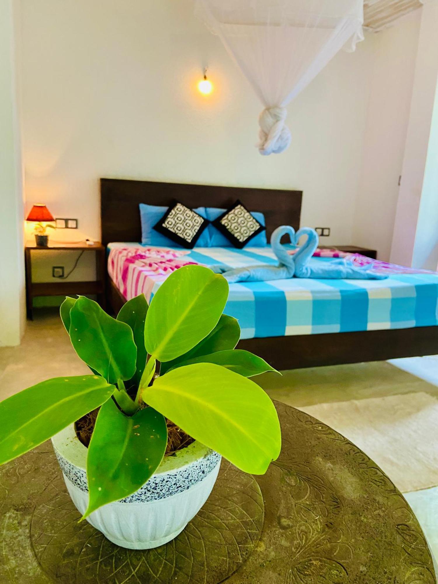 Mountain Seaview Cabanas 탕갈레 외부 사진